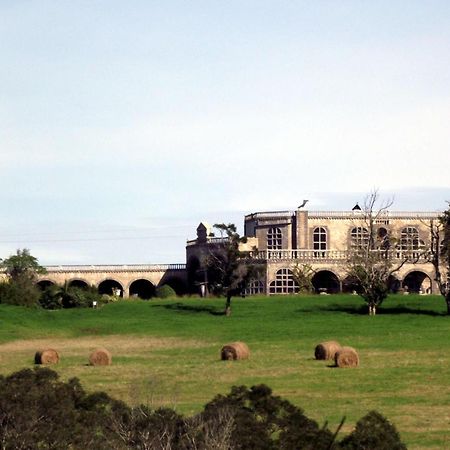 فندق Bygracealone Manor Outeniekwa المظهر الخارجي الصورة